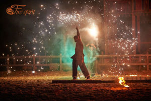 Пиротехническое шоу от Fire Spirit фото 2